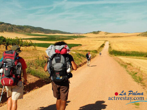 viaggi palma activestay