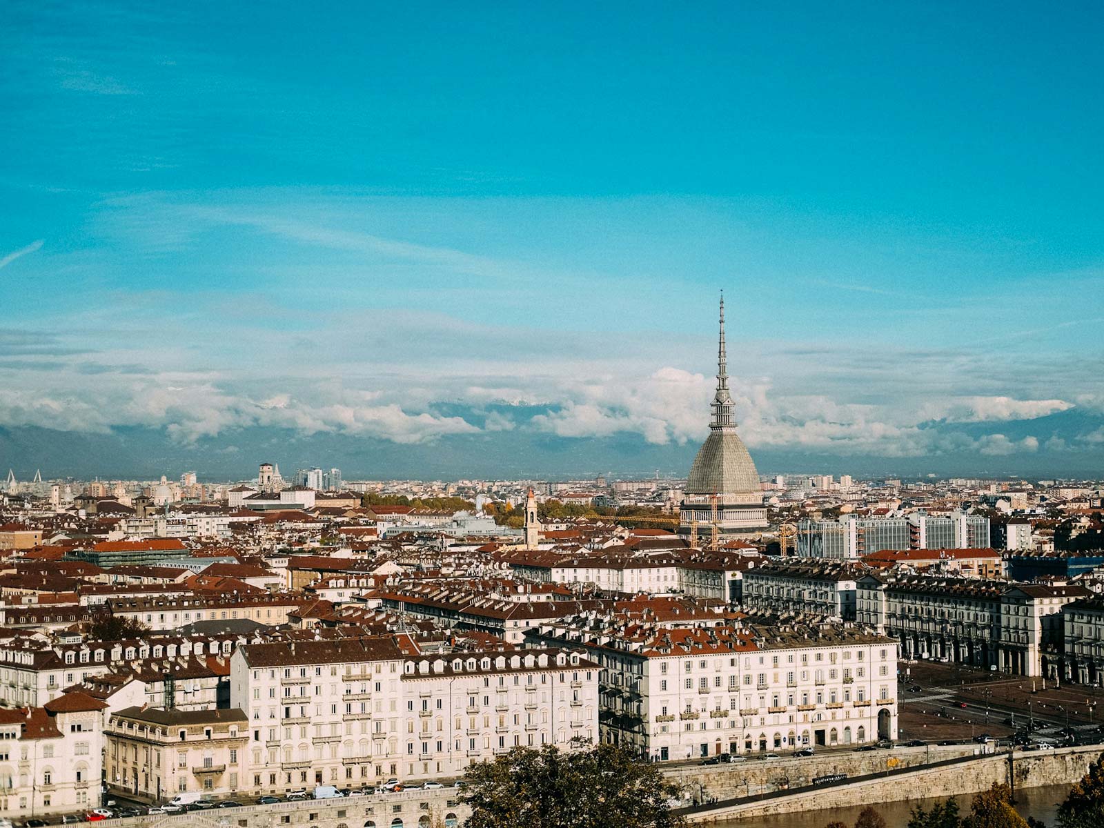 torino workshop ilqi