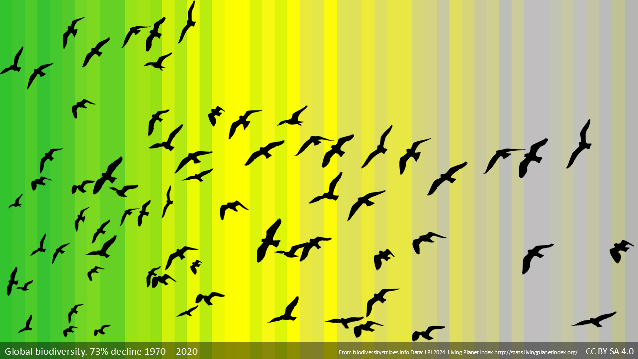 biodiversity