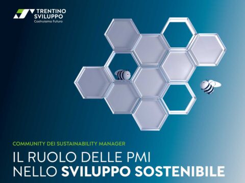 sustainability manager